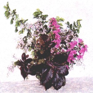 Dark Brown Leaves Flwrs