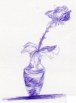 Rose in Pot Sketch
